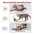 Brinquedos interativos para gatos, pássaros voadores, asas batendo, pardal, cat
