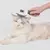 Pente de agulha para gato, cabelo longo, remoção de cabelo flutuante, pente de