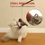 Brinquedos interativos para gatos, pássaros voadores, asas batendo, pardal, cat - comprar online