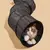 Túnel Dobrável para Gatos - comprar online