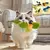 Brinquedo Interativo de Pássaros para Gatos – Com Catnip e Som