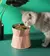 Tigela Alta Inox para Gatos e Cães Pequenos na internet