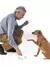 Clicker 2 em 1 com Apito para Treinamento de Cães - comprar online