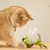 Imagem do Brinquedo Interativo de Pássaros para Gatos – Com Catnip e Som