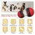 Brinquedo Comedouro Lento com Bola para Cães - comprar online