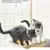 Rede Suspensa para Gatos - Assento de Janela na internet