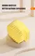 Escova de Banho – Silicone com Dispenser de Shampoo - loja online