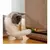 Arranhador Vertical para Gatos com Base Estável - Peludario