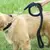 Guia de Tração Reforçada para Cães Grandes