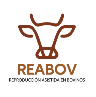 Reabov