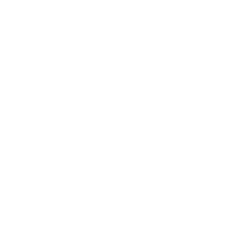 MDZ_PROJECT