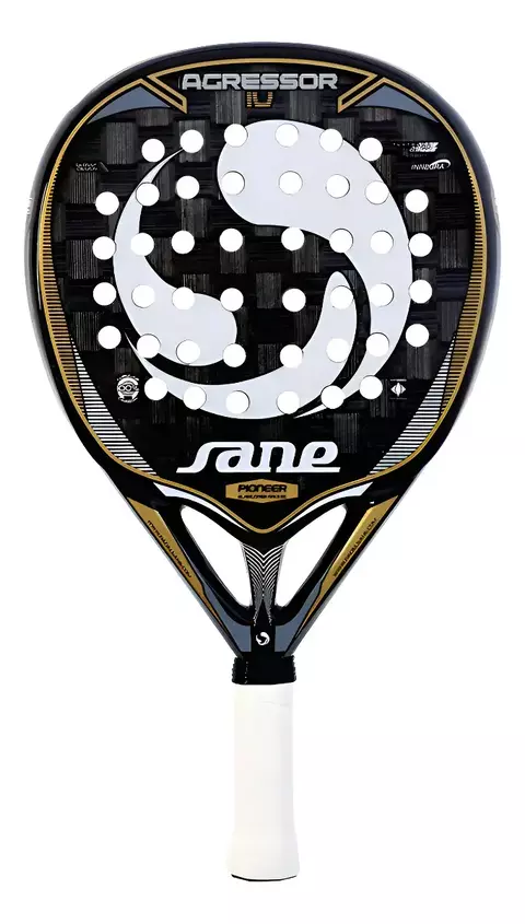 Paleta Sane Agressor IV