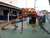 Golfinho Infantil com Gangorra - comprar online