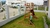 Imagem do Golfinho Infantil com Gangorra