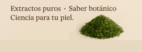 Carrusel 1