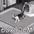 Tapete de areia para gatos - comprar online