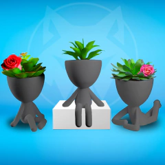 Kit Vasinhos Decorativo Robert Plant Bob Para Suculentas Cores Variadas