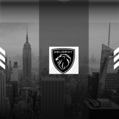 Banner de la categoría PEUGEOT 
