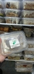 Imagen de Pack x30 - Tradicional