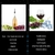 Imagen de Enfriador de botellas de vino, varilla de acero inoxidable para enfriar vino, a