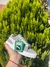 Imagen de Puma Suede XL