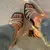 Imagem do Sandália Celina Couro Off White