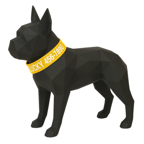 Largura 5cm - Coleira Identificação Personalizada Cachorro - comprar online