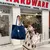 Bolsa de ombro feminina retrô casual em lona