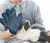 Imagem do ShedBrush - Luva Escova para pets