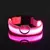 Imagem do BrightCollar - Coleira Iluminada de Segurança para Pets
