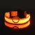 Imagem do BrightCollar - Coleira Iluminada de Segurança para Pets