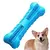 CleanChew - Brinquedo Limpador de Dentes Canino