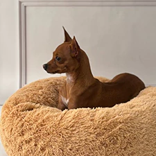 JUAN, PAPÁ DE ROCCO.