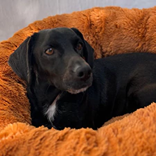 ANDREA, MAMÁ DE FÉLIX.