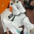 Tênis Nike Zoom X React Infinity Run FK3 – Branco – 34 ao 39 - Royvé