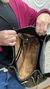Bolsa Adriana – Elegância Estruturada com Espaço e Estilo - Valeska Milani