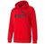 Moletom Puma Big Logo • 2024 - comprar online