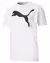 Camiseta Puma Big Logo Dry Fit • 2025 - comprar online