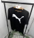 Camiseta Puma Big Logo Dry Fit • 2025 - comprar online