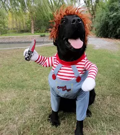 Halloween trajes para cães engraçado roupas para animais de estimação ajustável cão cosplay conjuntos de trajes novidade roupas para cães médios grandes bulldog pug - MaxOfert