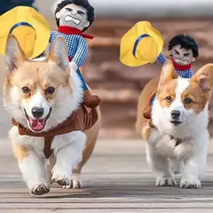 Nonor festa de halloween roupas para cães engraçado cowboy vestir-se jaqueta c - loja online