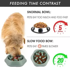 Alimentador lento tigela para cães anti-asfixia tigelas de alimentação lenta - comprar online