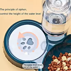 Tigelas de estimação com alimentador de água 3 em 1, design da orelha, tigela - comprar online