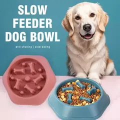 Alimentador lento tigela para cães anti-asfixia tigelas de alimentação lenta - comprar online