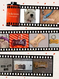Imagem do Etiqueta de identificação de animal de estimação personalizado grátis grava