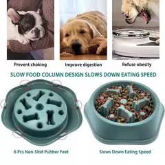 Alimentador lento tigela para cães anti-asfixia tigelas de alimentação lenta na internet