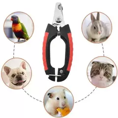 Profissional cão de estimação cortador de unhas cortador de aço inoxidável - loja online