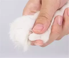 Profissional cão de estimação cortador de unhas cortador de aço inoxidável - loja online