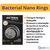 Ocean Tech Bacterial Nano Rings 1kg - Midia Biológica Filtrante para Aquário, Lago, Fonte na internet