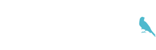 Te Soñé